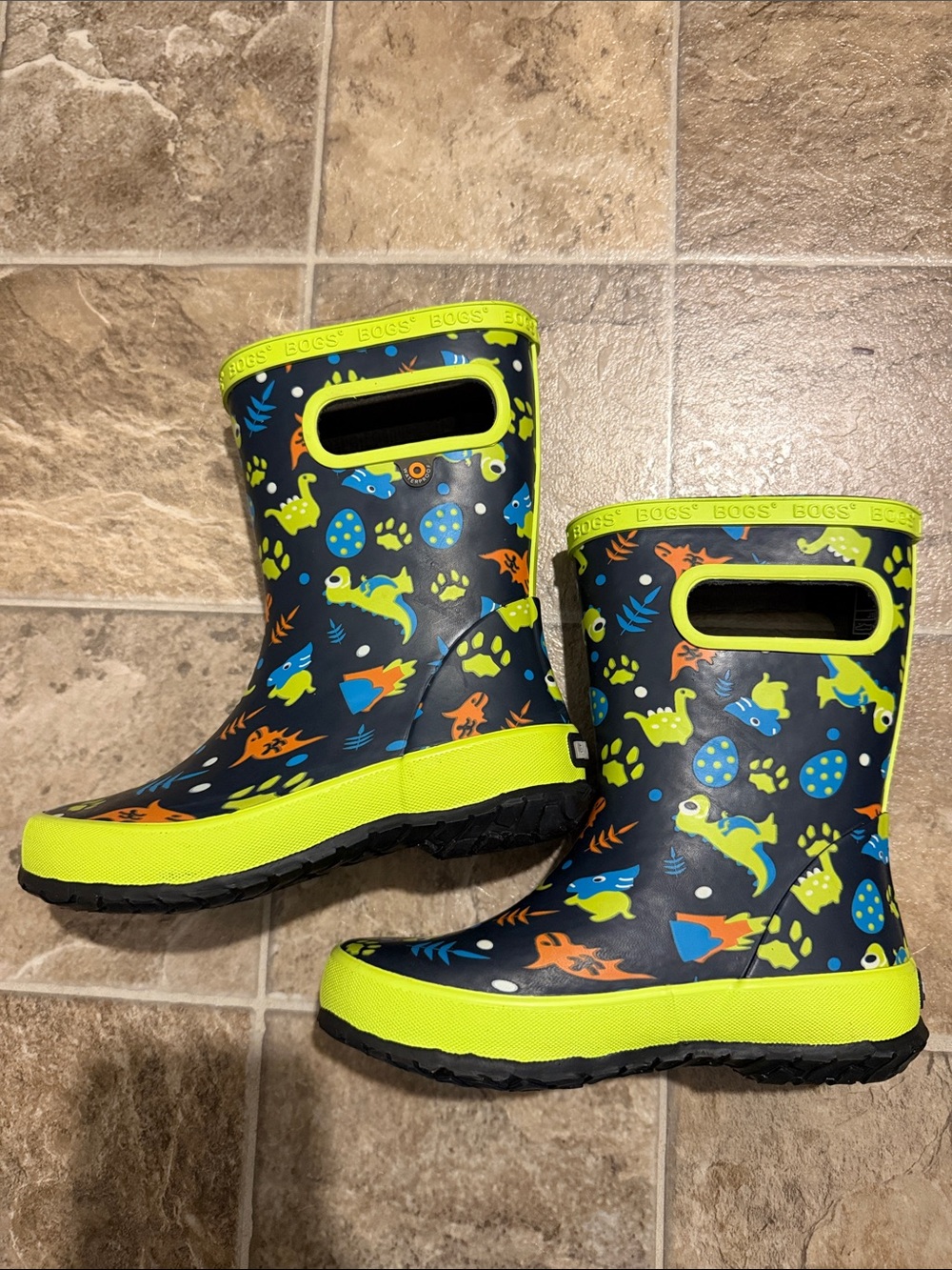 NWOT Bogs dinosaur rainboots
